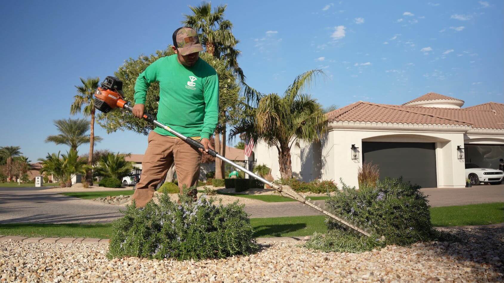 shrub trim small bush