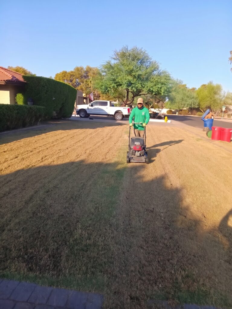 Winter Grass Overseeding During